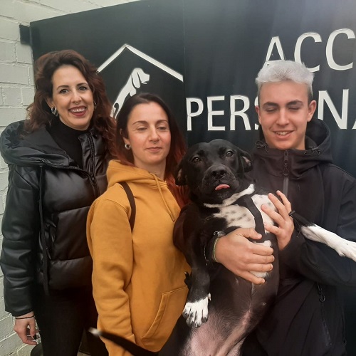 ¡Mermelada adoptada!