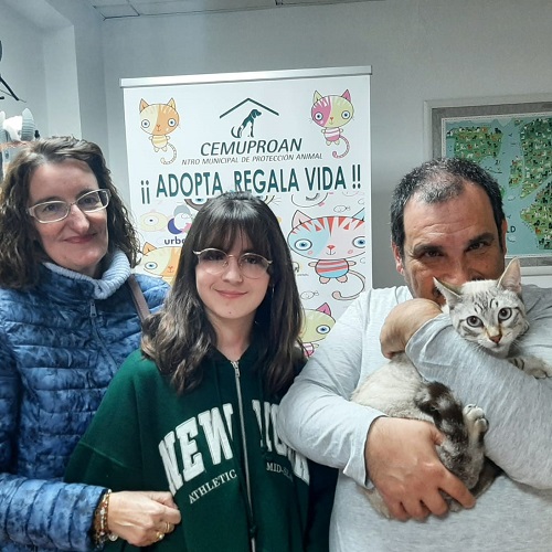 ¡Miles adoptado!