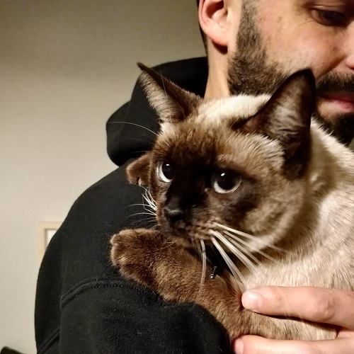 ¡Milagritos adoptada!