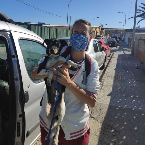 ¡Milo adoptado!