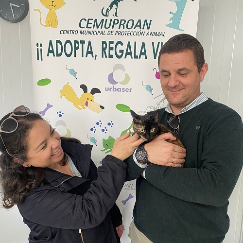 ¡Minnie Cat adoptada!