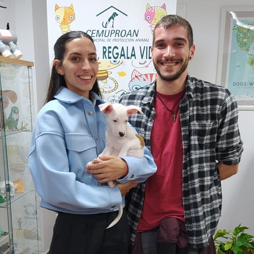 ¡Mintea adoptada!
