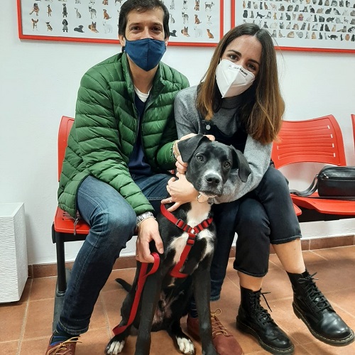 ¡Mojave adoptado!