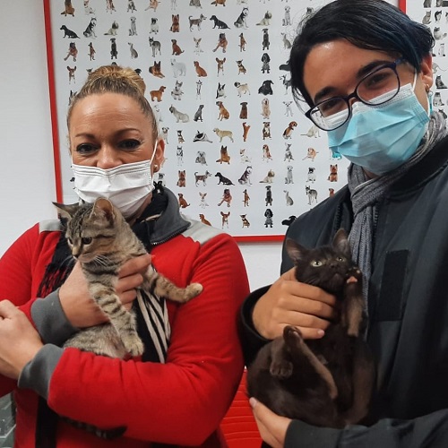 ¡Morucha y Brasilia adoptadas!