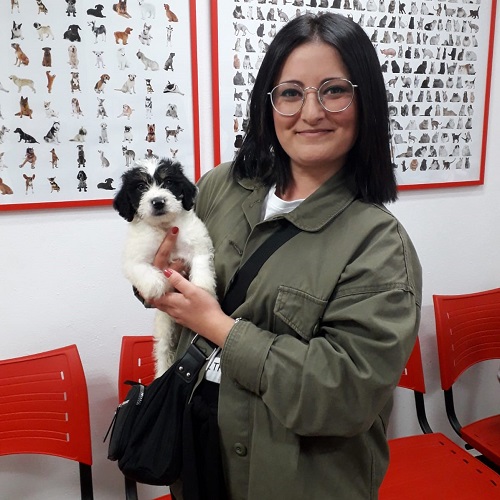 ¡Muérdago adoptado!