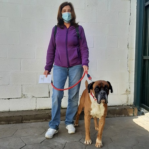 ¡Murdo adoptado!