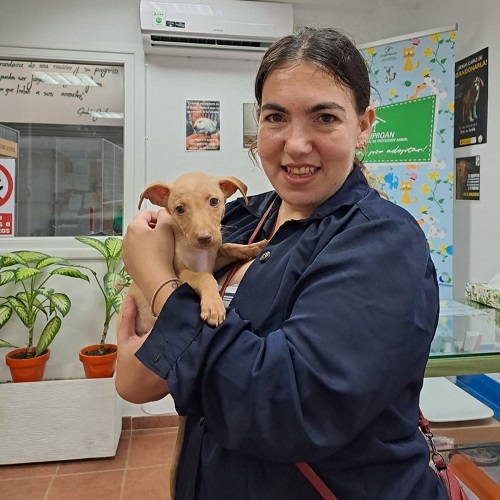 ¡Naranjita adoptado!