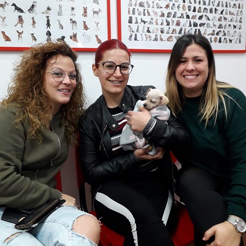 ¡Navia adoptada!