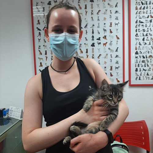 ¡Nelly adoptado!