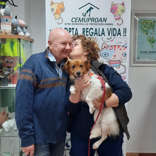 ¡Noah adoptada!