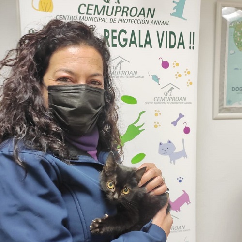 ¡Nove adoptado!