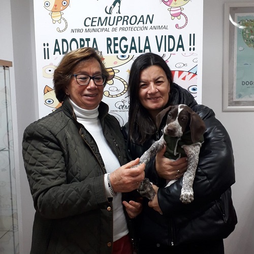 ¡O'Malley adoptado!