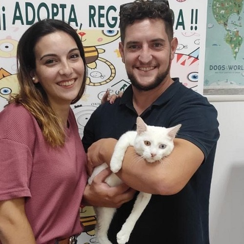 ¡Oneh adoptado!