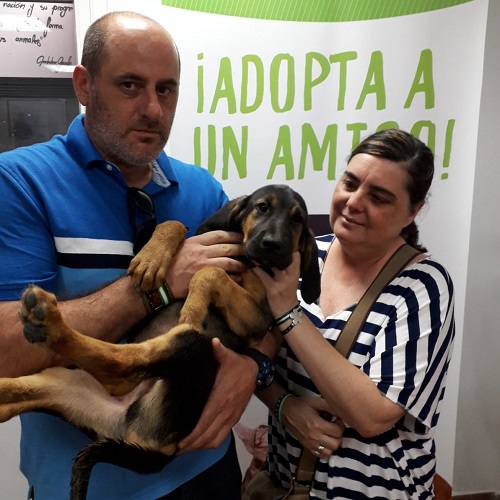 ¡Orlando adoptado!