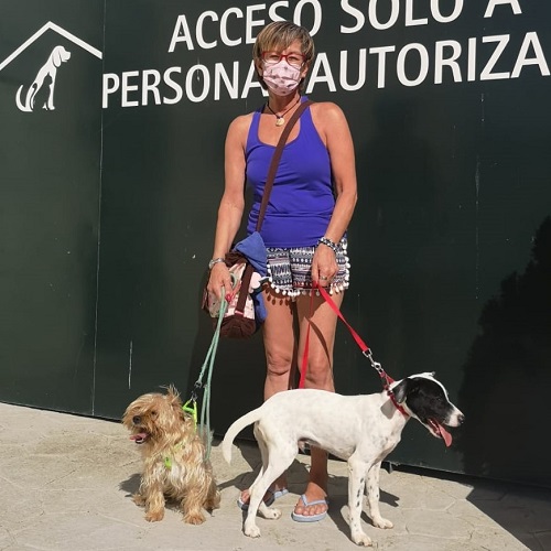 ¡Palazzo adoptado!