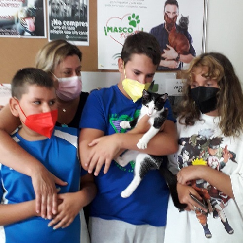 ¡Pardo adoptado!