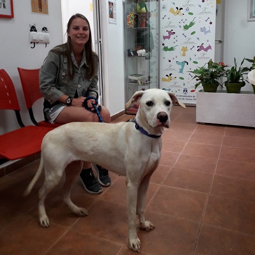 ¡Parish adoptada!