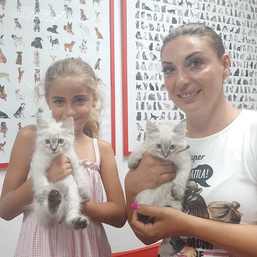 ¡Party y Capuccini adoptados!