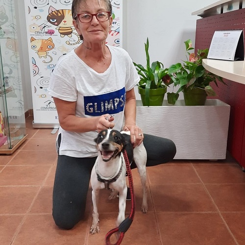 ¡Pavía adoptada!