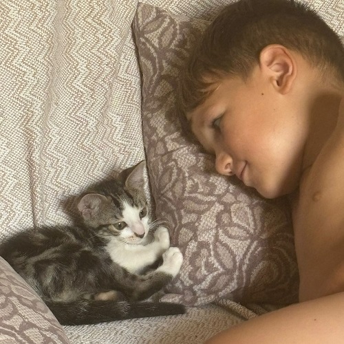 ¡Pequeño Rey adoptado!