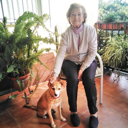 ¡Perejil adoptado!