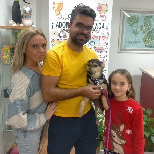 ¡Perita Dulce adoptada!