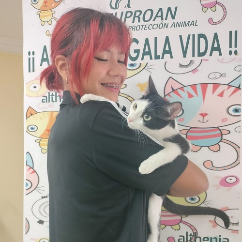 Pibil adopted!