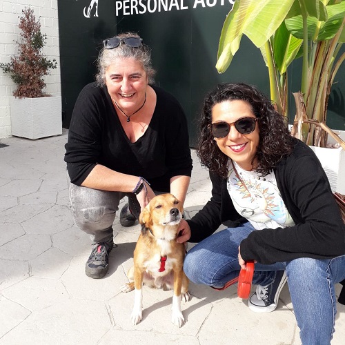 ¡Pistach adoptado!