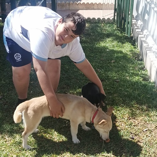¡Poema adoptada!
