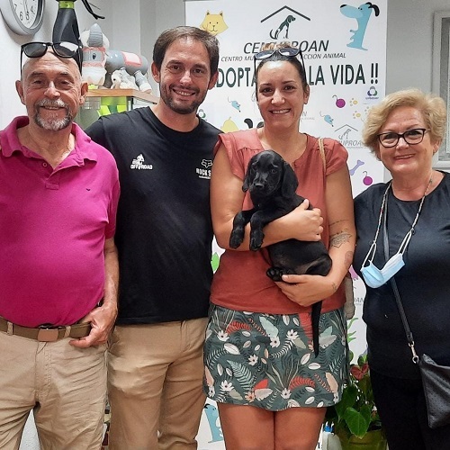 ¡Pogo adoptado!