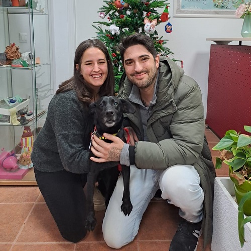 ¡Popcorn adoptado!