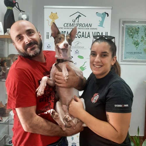 ¡Portofino adoptado!