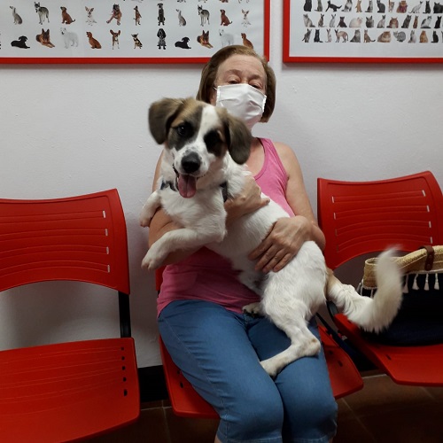 ¡Potito adoptado!