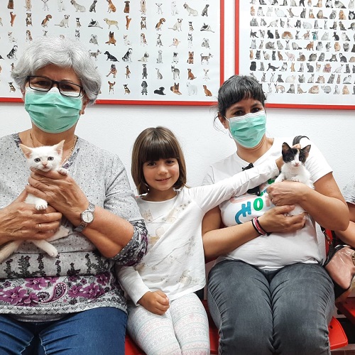 ¡Pumita y Shama adoptado!