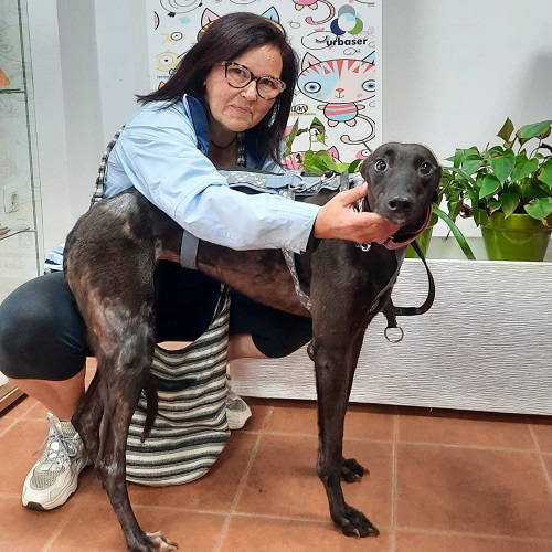 ¡Rafaella adoptada!