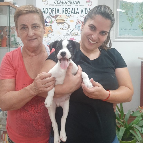 ¡Rancho adoptado!