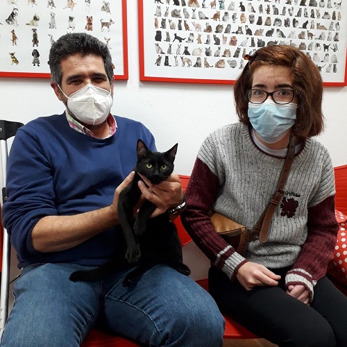 ¡Reno adoptado!