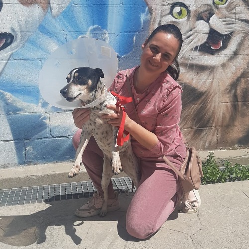 ¡Rólex adoptado!