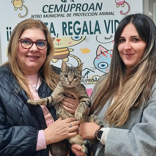 ¡Rosella adoptada!