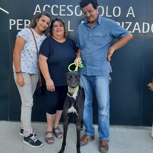 ¡Rosetto adoptado!