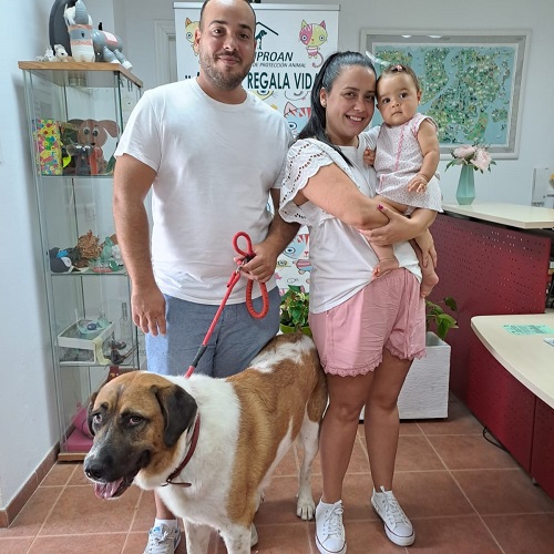 ¡Rupita adoptada!