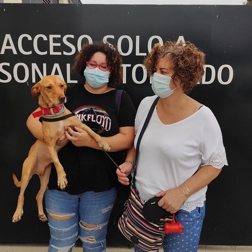 ¡Salaito adoptado!