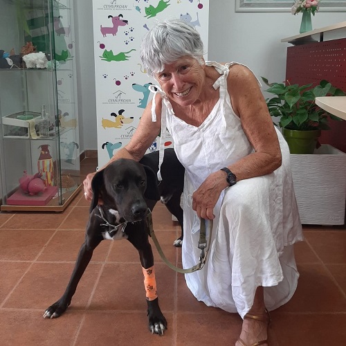 ¡Santino adoptado!