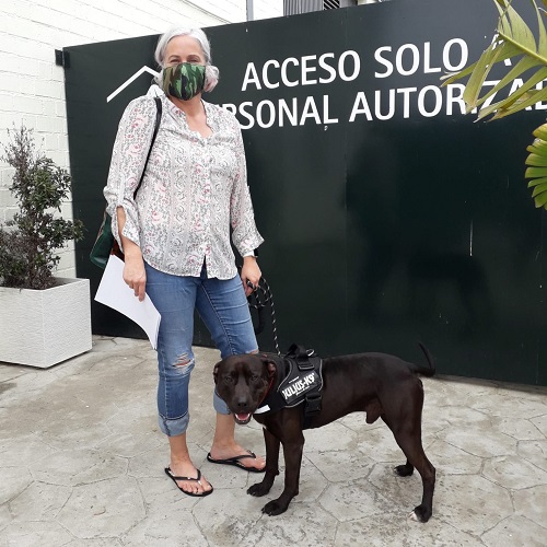 ¡Saúl adoptado!