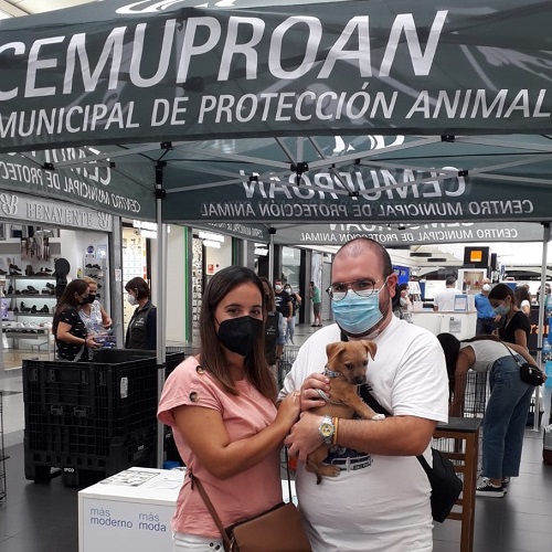 ¡Scoti adoptado!