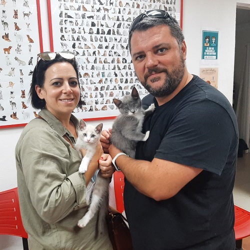 ¡Setita y Shadi adoptadas!
