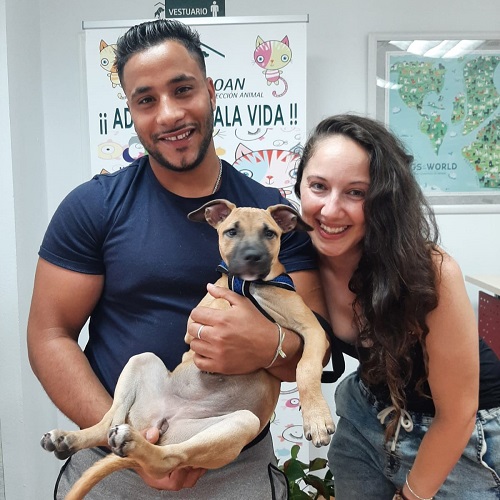 ¡Shyla adoptada!