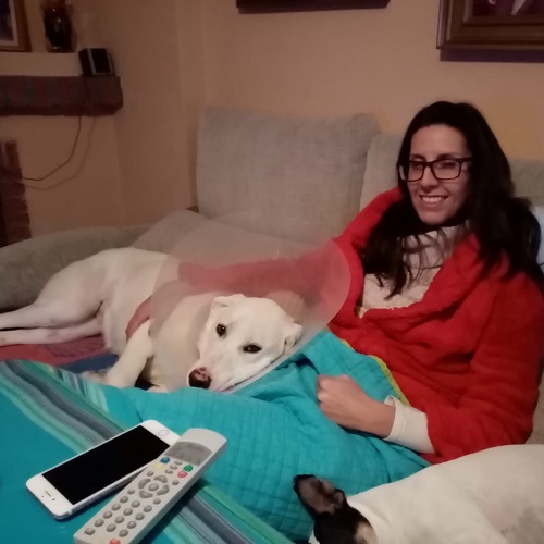 ¡Sibyla adoptada!