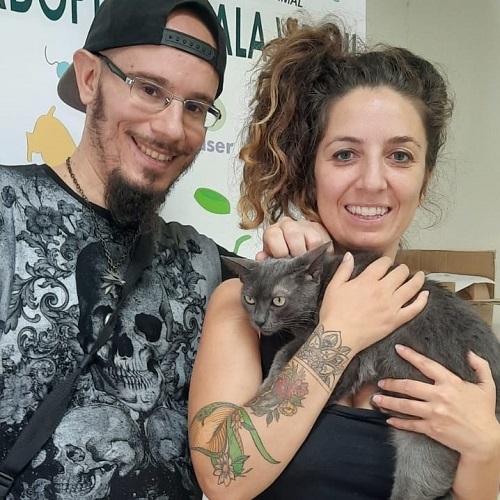 ¡Sierra6 adoptada!
