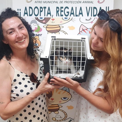 ¡Sokka adoptada!